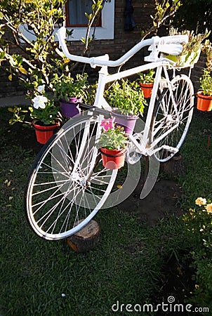 Spring cycling takes you wherever you want. Stock Photo