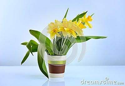 Spring daffodils flower Stock Photo