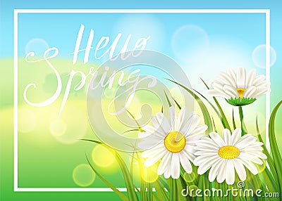 Spring daisies, chamomiles dandelions juicy green lettering. Spring grass background Template for banners, web, flyer Vector Illustration