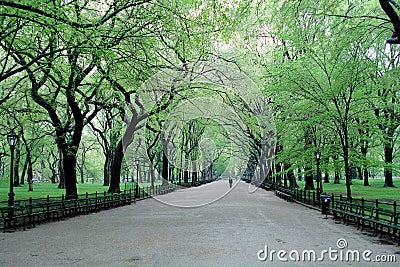Spring day in Central Park, New York Stock Photo