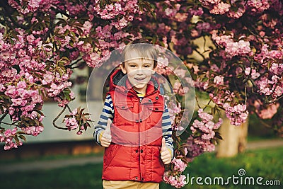 Spring day. Fashionable kid in spring park. Spring pink sakura blossom. Cute little stylish boy in the city. Kids fashion and Stock Photo