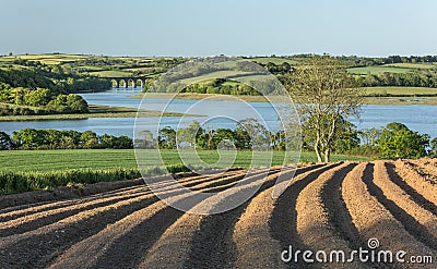 Spring Day, Notter Viaduct, River Lynher, Cornwall Stock Photo