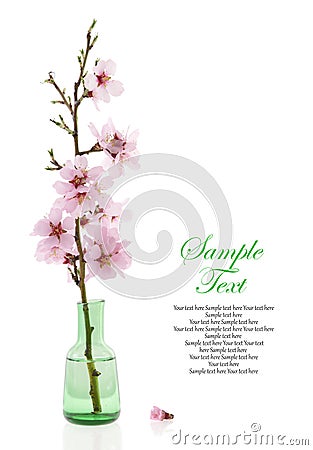 Spring decoration Stock Photo