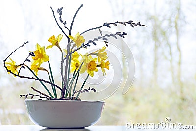 Spring decoration, daffodils and willow in a ceramic bowl Stock Photo