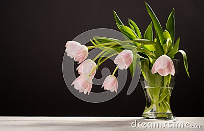 Spring decoration. Pink tulips in a vase Stock Photo