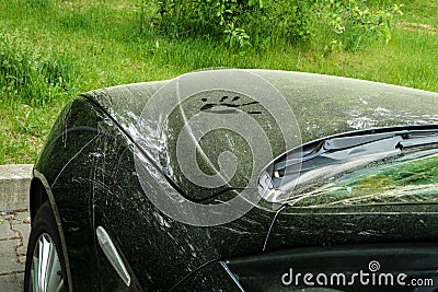 A car dirty from pollen Stock Photo