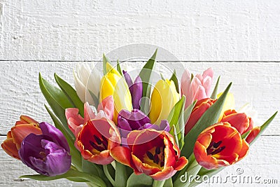 Spring easter colorful tulips on white vintage background Stock Photo