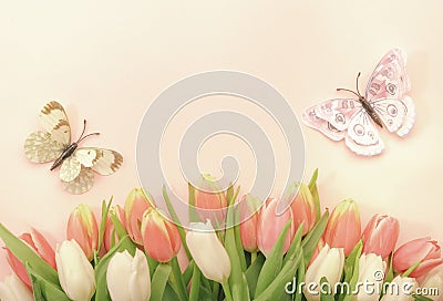 Spring Easter composition with pink tulips flowers and butterflies on pastel background. Valentine`s, Women`s, Mother`s Day Stock Photo