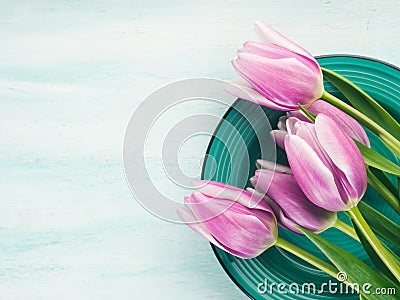 Spring easter purple tulip floral green pastel color background Stock Photo