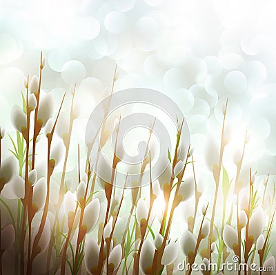 Spring Easter Pussy-willow Vector Illustration