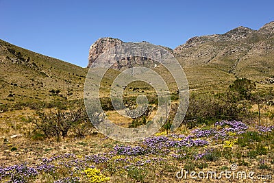 Spring at El Capitan, West Texas Stock Photo