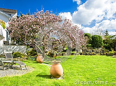 Spring english garden with blossoming magnolia tree Stock Photo