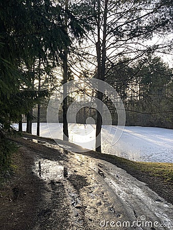 spring evening near small lake in spring time Stock Photo