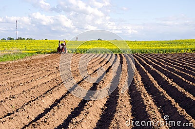 Spring field with tillage and tractor Stock Photo