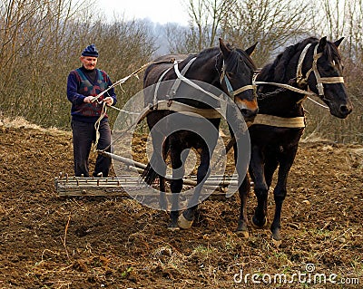 Spring field work in rural areas of Transcarpathia Editorial Stock Photo