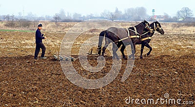 Spring field work in rural areas of Transcarpathia Editorial Stock Photo