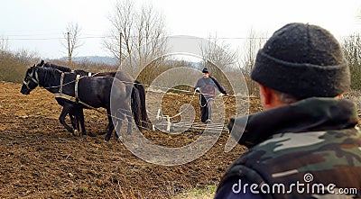 Spring field work in rural areas of Transcarpathia Editorial Stock Photo