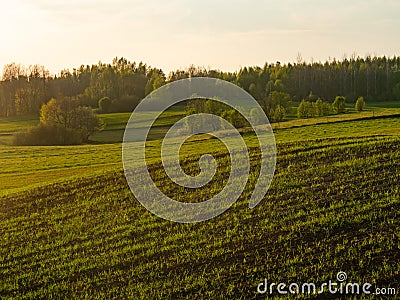 Spring fields and farmlands at the sunset light. Stock Photo