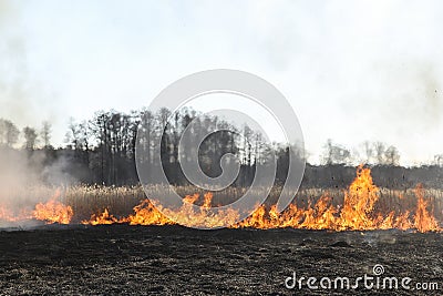 Spring fires of dry grass. Stock Photo