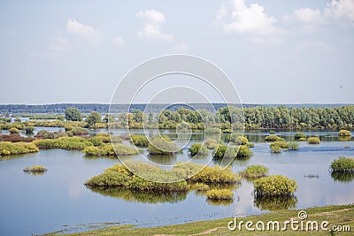 Spring. floodplain meadow flooded with a river Stock Photo