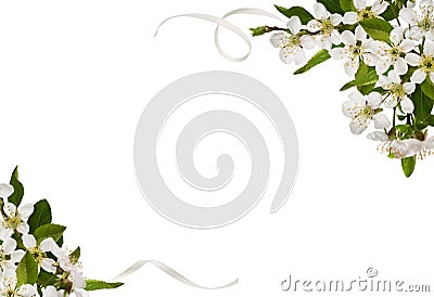 Spring floral corners arrangements with small green leaves and flowers of cherry and scrolled satin ribons isolated on white Stock Photo