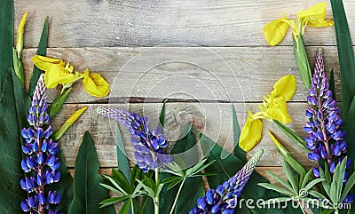 Spring floral flatlay design composition made of yellow irises and blue lupine flowers and green leaves Stock Photo