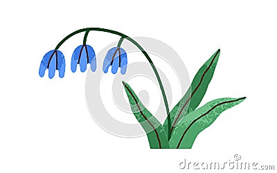 Spring flower. Bellflower, blossomed floral plant. Gentle delicate fragile wildflower. Beautiful tender summer bell Vector Illustration