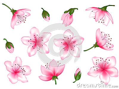 Spring flower tree blossom vector illustration set Vector Illustration