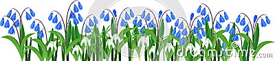 Spring flower border with blue flowering Siberian squill or Scilla siberica Stock Photo