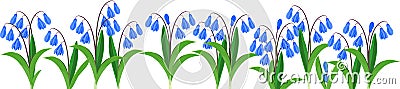 Spring flower border with blue flowering Siberian squill or Scilla siberica Stock Photo