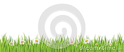 Spring flower and grass seamless background Vector Illustration