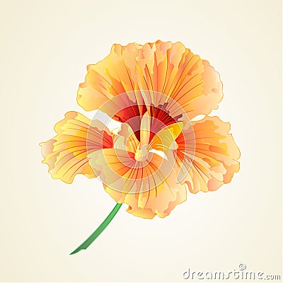 Spring flower watercress vector Vector Illustration