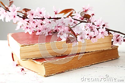 Spring flowering branch Stock Photo