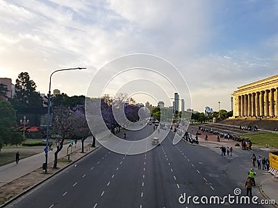 Spring flowering jacaranda in Buenos Aires, Argentina. Metallic Editorial Stock Photo