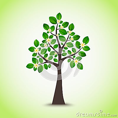 Spring flowering tree with green leaves background Vector Illustration