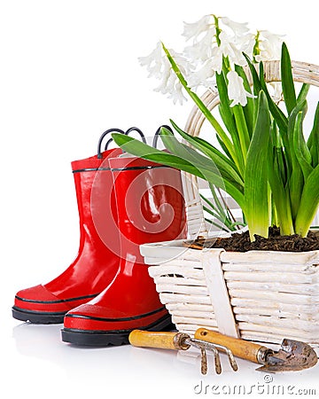 Spring flowers in basket with garden tools peat pot Stock Photo