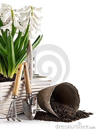 Spring flowers in basket with garden tools Stock Photo