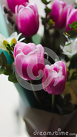Spring flowers - a bouquet of pink tulips illuminated with soft light Stock Photo