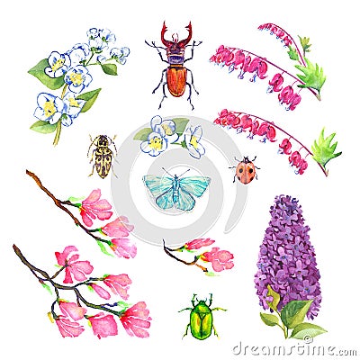 Spring flowers, bugs and blue butterfly collection set isolated on white hand painted watercolor illustration Cartoon Illustration