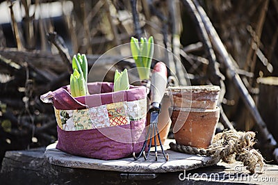 Spring flowers bulbs in handmade patchwork bag with garden tool and ceramic pots Stock Photo