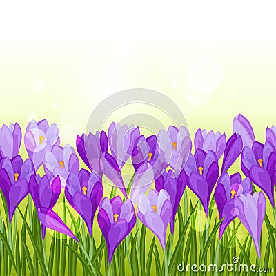 Spring flowers crocus seamless pattern horizontal Vector Illustration