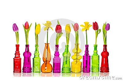 Spring flowers decoration Tulips in vases white background Stock Photo