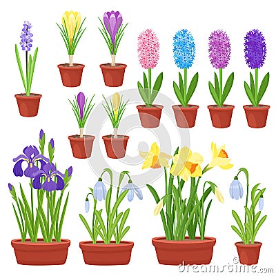 Spring flowers in flower pots. Irises, lilies of valley, tulips, narcissuses, crocuses and other primroses. Garden Vector Illustration