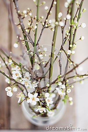 Spring flowers in a glass top view Stock Photo