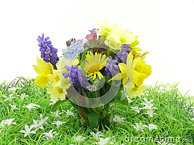 Spring flowers Stock Photo