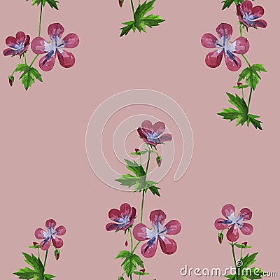 Watercolor dandelions wildflowers seamless texture pattern background Cartoon Illustration