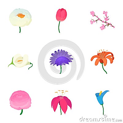 Spring flowers icons set, cartoon style Vector Illustration