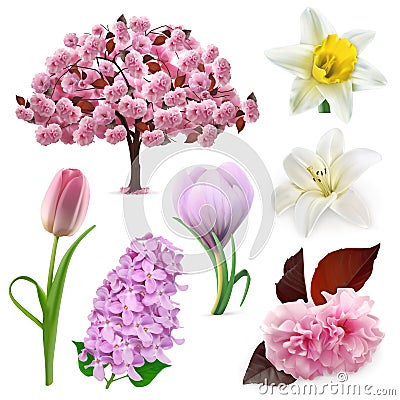 Spring flowers icons Vector Illustration