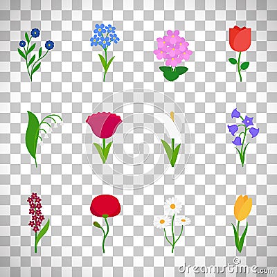 Spring flowers icons on transparent background Vector Illustration