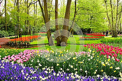 Spring flowers, Keukenhof Gardens Stock Photo